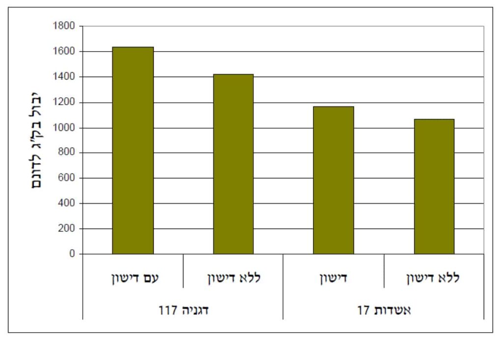 השוואה של יבול לדונם בין שני סוגי הכנות עם ובלי דישון