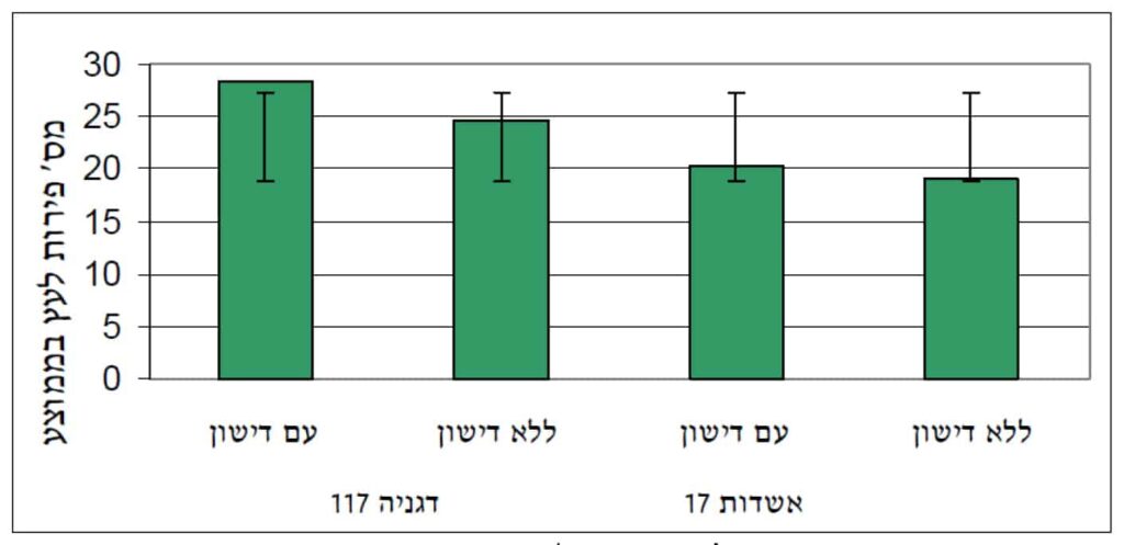 השוואה של מספר פירות בממוצע בין שני סוגי הכנות עם ובלי דישון