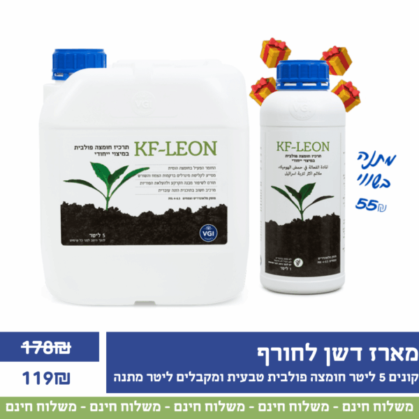 מארז דישון לחורף