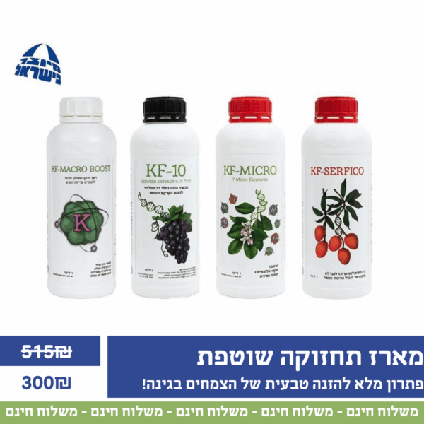 מארז דישון ותחזוקה שוטפת לגינה