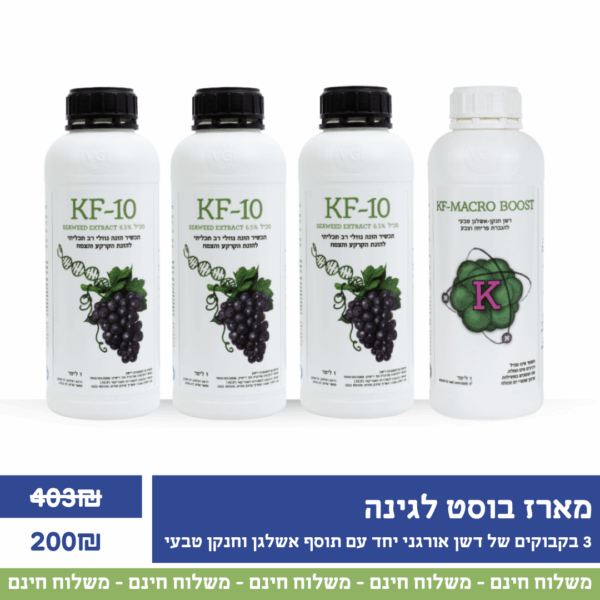 מארז דישון מקיף"בוסט לגינה"