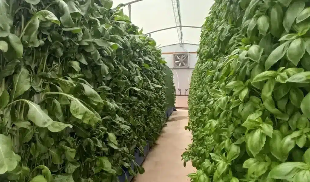 דשנים טבעיים לגינה ולחקלאות