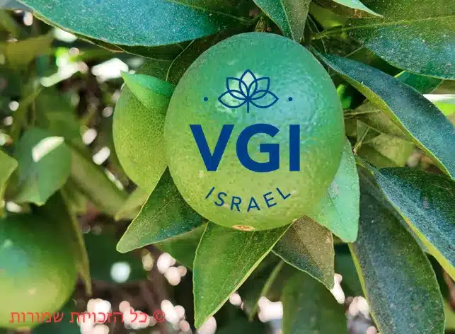 דישון עצי פרי