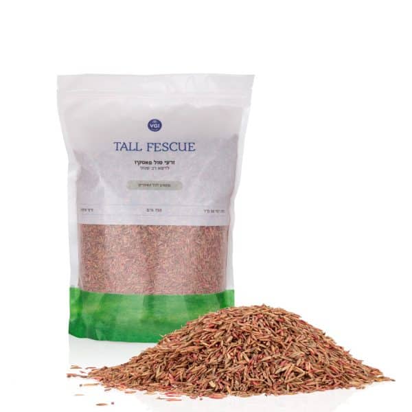 זרעי דשא לשזרוע 750 גרם טולפסקיו (TALL FESCUE)