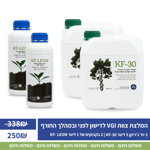 לדישון לפני ובמהלך החורף