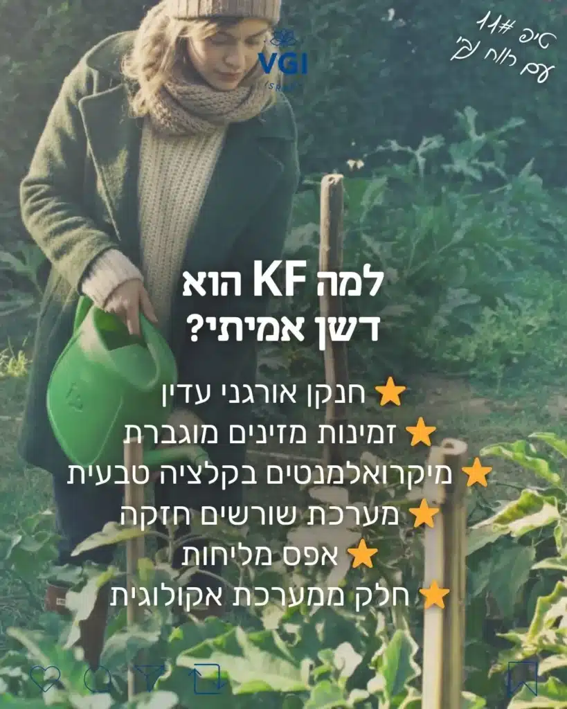 דשן אמיתי