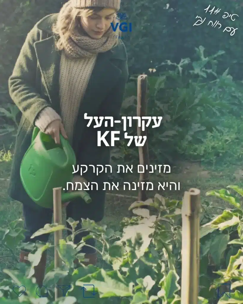 הזנה של הקרקע