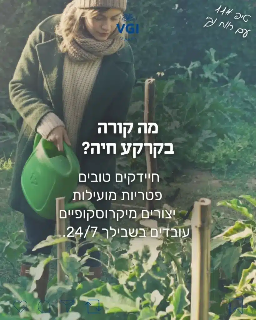 חיידקים טובים לקרקע