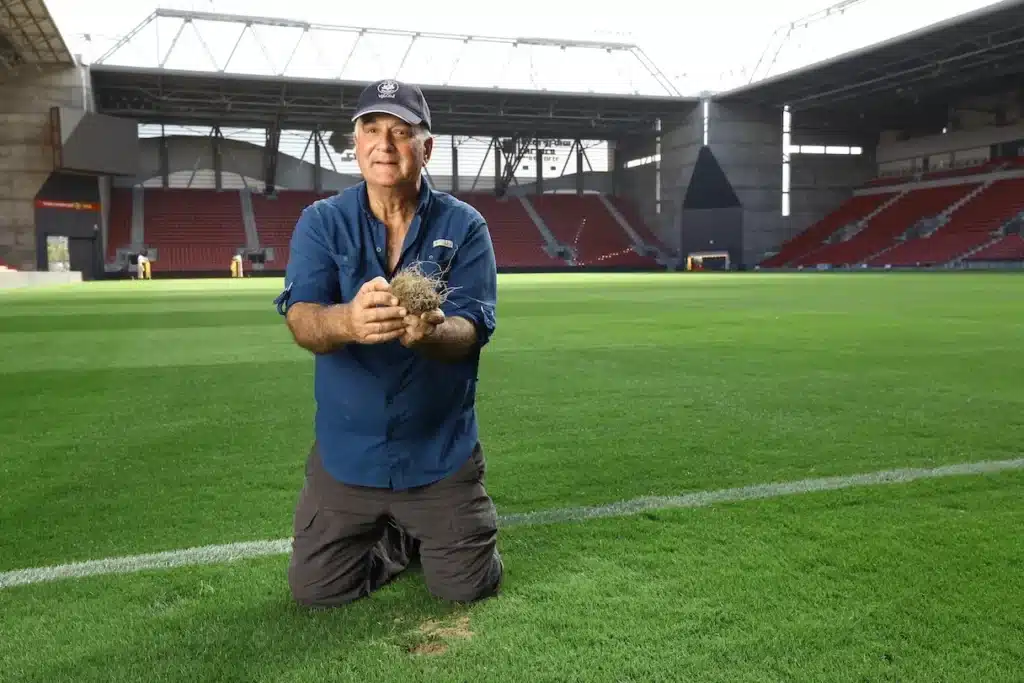 מגמות עולמיות בשוק הביוסטימולנטים לחקלאות