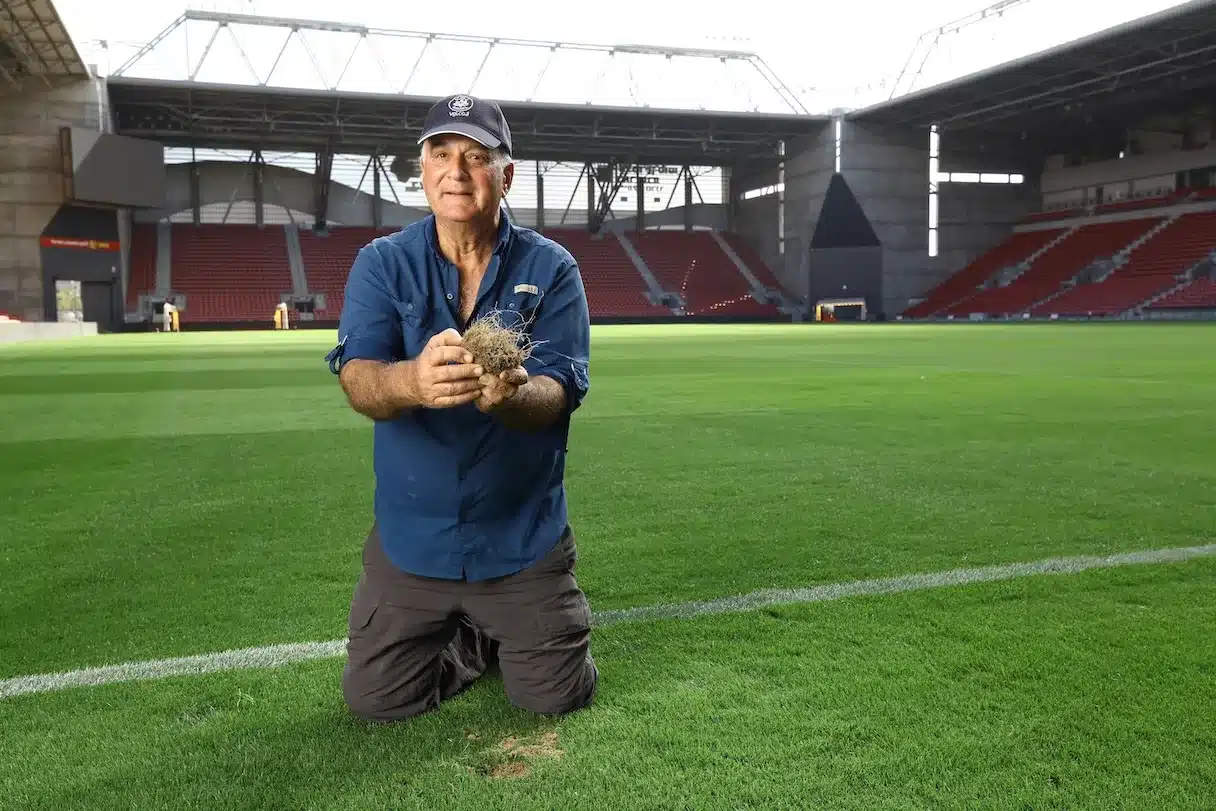 מגמות עולמיות בשוק הביוסטימולנטים לחקלאות