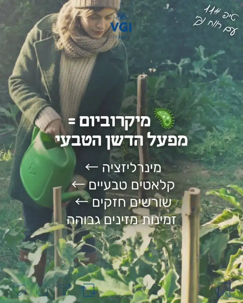 קלאטים טבעים