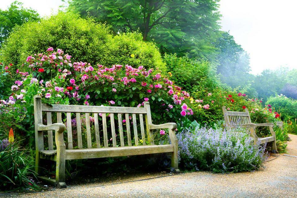 ספסל בגינה פרחונית